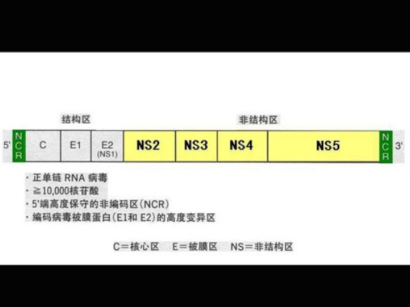 下列关于设计小时耗热量的说法中哪几项正确